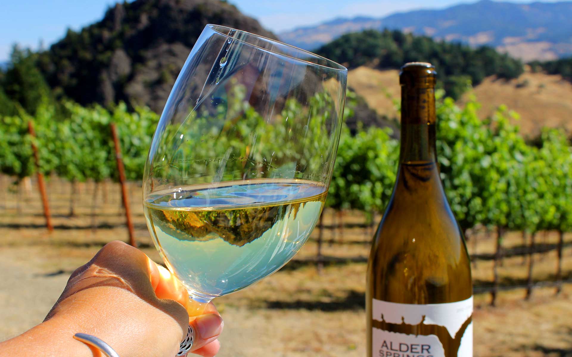 The Taste Of Alder Springs: Cheers with a glass of Alder Springs Chardonnay
